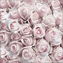 20 Servietten Blume Pastell 33 x 33 cm