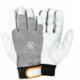 COFRA Winter Arbeitshandschuhe aus Ziegenleder 8 (m)