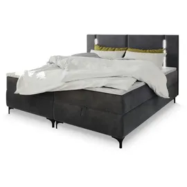 masseno Alba 180 x 200 cm H2 Grau