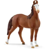Schleich Horse Club Marwari Stute 14897