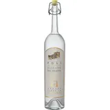 Jacopo Poli Poli Bassano Classica