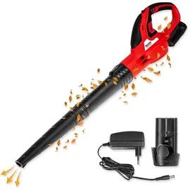 WALTER WERKZEUGE Akku-Laubbläser 12V inkl. 2 x 2,0 Ah + Ladegerät