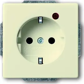 Busch-Jaeger Steckdoseneinsatz 1 St. Beige