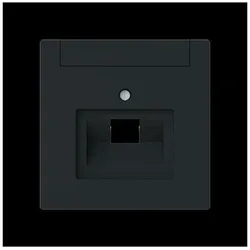 Busch-Jaeger Zentralscheibe 1-fach, UAE 1803-45M 2CKA001710A4222