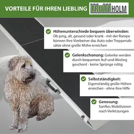 Baumarktplus TRUTZHOLM Hunderampe klappbar 183 cm Traglast 180 kg Alu grau schwarz beschichtet Tierrampe