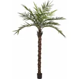 Europalms Kentia Palme deluxe, Kunstpflanze 300cm