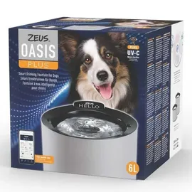 ZEUS Smart Trinkbrunnen Oasis Plus Grau 6,