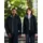 Regatta Professional Ladies' Beauford Insulated Jacket - Schwarz - 46
