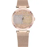 Tommy Hilfiger 1781868 - 39 mm)