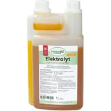 Lexa Elektrolyt flüssig 1 kg