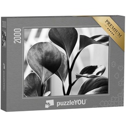 puzzleYOU Puzzle Pflanzenfotografie: Detailaufnahme in Schwarz-Weiß, 2000 Puzzleteile, puzzleYOU-Kollektionen Fotokunst