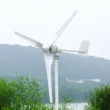 24V 48V Windkraftanlage 2000W Windräder Heimgebrauch Horizontal Windgenerator Kits Wind Turbine 3 Klinge mit MPPT Laderegler