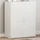 vidaXL Aktenschrank 60 x 32 x 77,5 cm Weiß