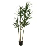 Europalms Dracena, Kunstpflanze, grün, 170cm