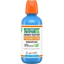 Church & Dwight Deutschland GmbH TheBreathCo Icy Mint