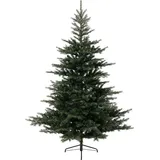 KAEMINGK GMBH Grandis Fir, Real Needle 210cm,grün