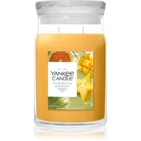 Yankee Candle Starfruit & Sunshine Duftkerze 567 g