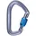Black Diamond Hot Forge Snap Hook Grau,Grau