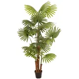 Europalms Fächerpalme, Kunstpflanze, 165cm