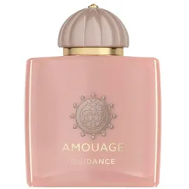 Amouage Odyssey Guidance Eau de Parfum 100 ml