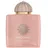Amouage Odyssey Guidance Eau de Parfum 100 ml