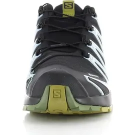 Salomon XA Pro 3D V8 GTX Damen Black/Green Moss/Zen Blue 42