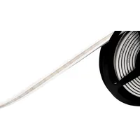 BARTHELME 51542534 LED-Streifen 24 V 5000 mm Kaltweiß 5
