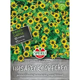 Sperli Husarenknopf Knöpfchen