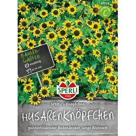 Sperli Husarenknopf Knöpfchen