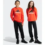 Adidas Sportswear Trainingsanzug »ESSENTIALS BIG LOGO KIDS JOGGINGANZUG«, (2 tlg.) adidas Sportswear Bright Red