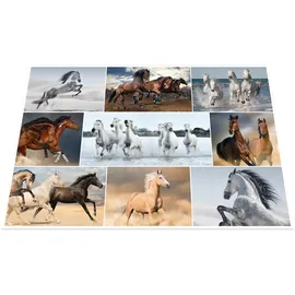 Herma 19380 Pferde 55 x 35 cm(P)