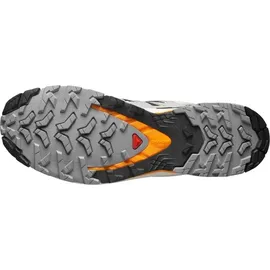 Salomon XA Pro 3D V9 Herren Black/Gull/Turmeric 42