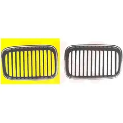 Van Wezel Kühlergitter, aussen [Hersteller-Nr. 0640516] für BMW