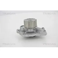 TRISCAN Wasserpumpe