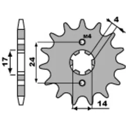 PBR Stahl Standard Ritzel 2153 - 420
