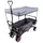 FUXTEC Fuxlife Einsteiger Bollerwagen FX-CT350 Grau