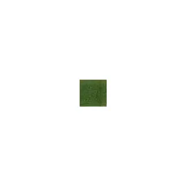 Nielsen Quadrum Holz grün 30x40 cm 1 St.