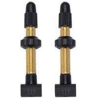 BBB Tubeless Ventile herausnehmbarer Kern 2 Stk 48mm messing