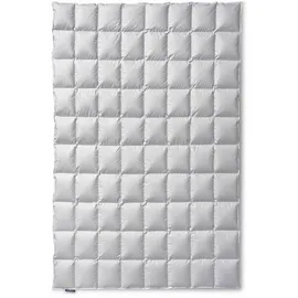 sanders-kauffmann gmbh Kauffmann Eiderdaunendecke medium - 155x200cm