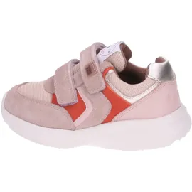 Bisgaard yuki v tex Rosa 30