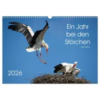 Calvendo Ein Jahr bei den Störchen (Wandkalender 2026 DIN