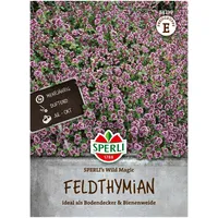 Sperli Saatgut Feldthymian 'Sperli’s Wild Magic', grün & rosa