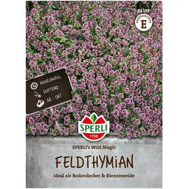 Sperli Saatgut Feldthymian 'Sperli’s Wild Magic', grün & rosa
