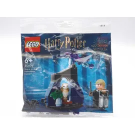 LEGO Harry Potter Draco im Verbotenen Wald 30677