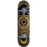 Blueprint, Skateboard