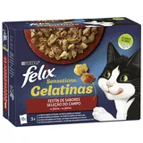 Purina Felix Sensations Flavors Feast 12x85g Katzenfutter 6 Einheiten - Multicolor - One Size