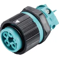 Wieland 46.051.5053.6 Rundstecker Buchse, Einbau Gesamtpolzahl: 4 + PE