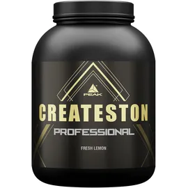 Peak Performance Createston Professional Fresh Lemon Pulver 3150 g