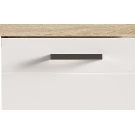 byLIVING Waschbeckenunterschrank Nebraska 60 x 59 x 31,5 cm Braun/Weiß