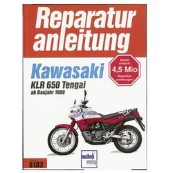 Bucheli Reparatur Anleitungen Old- und Youngtimer